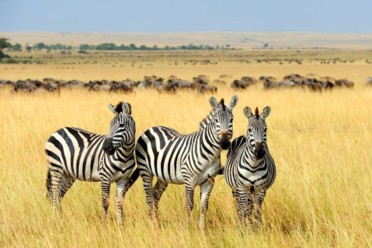 Viaggi Esclusive vacanze e safari in Sudafrica