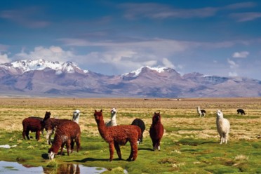 Viaggi Meravigliosi Perù e Bolivia