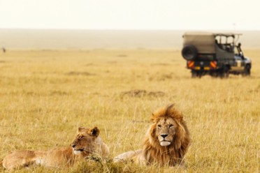 Viaggi Safari Masai Mara e mare