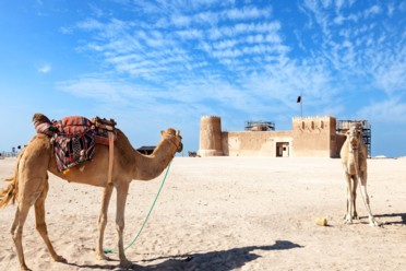 Viaggi Oman natura e archeologia